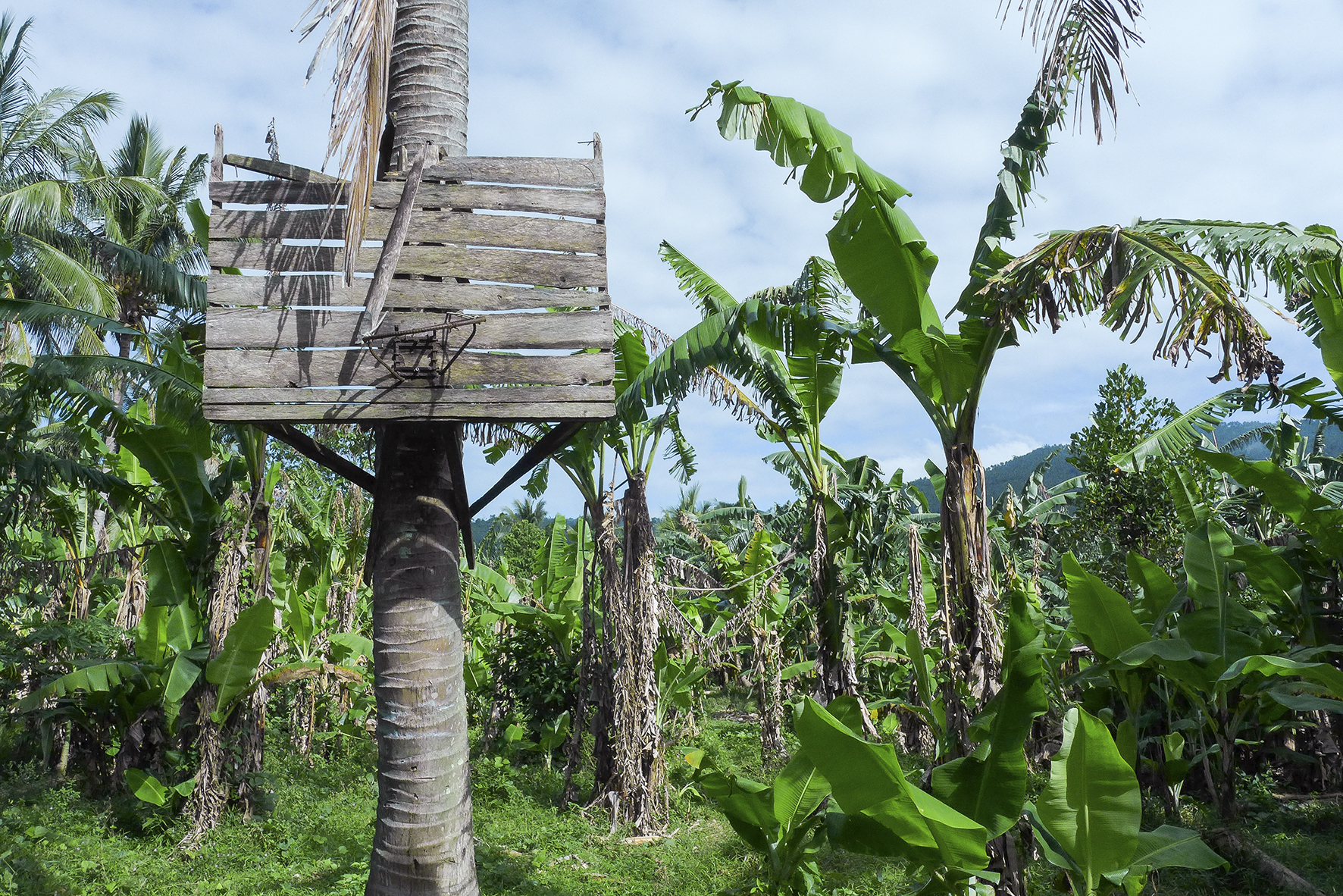 Mindoro, Philippines, 2018