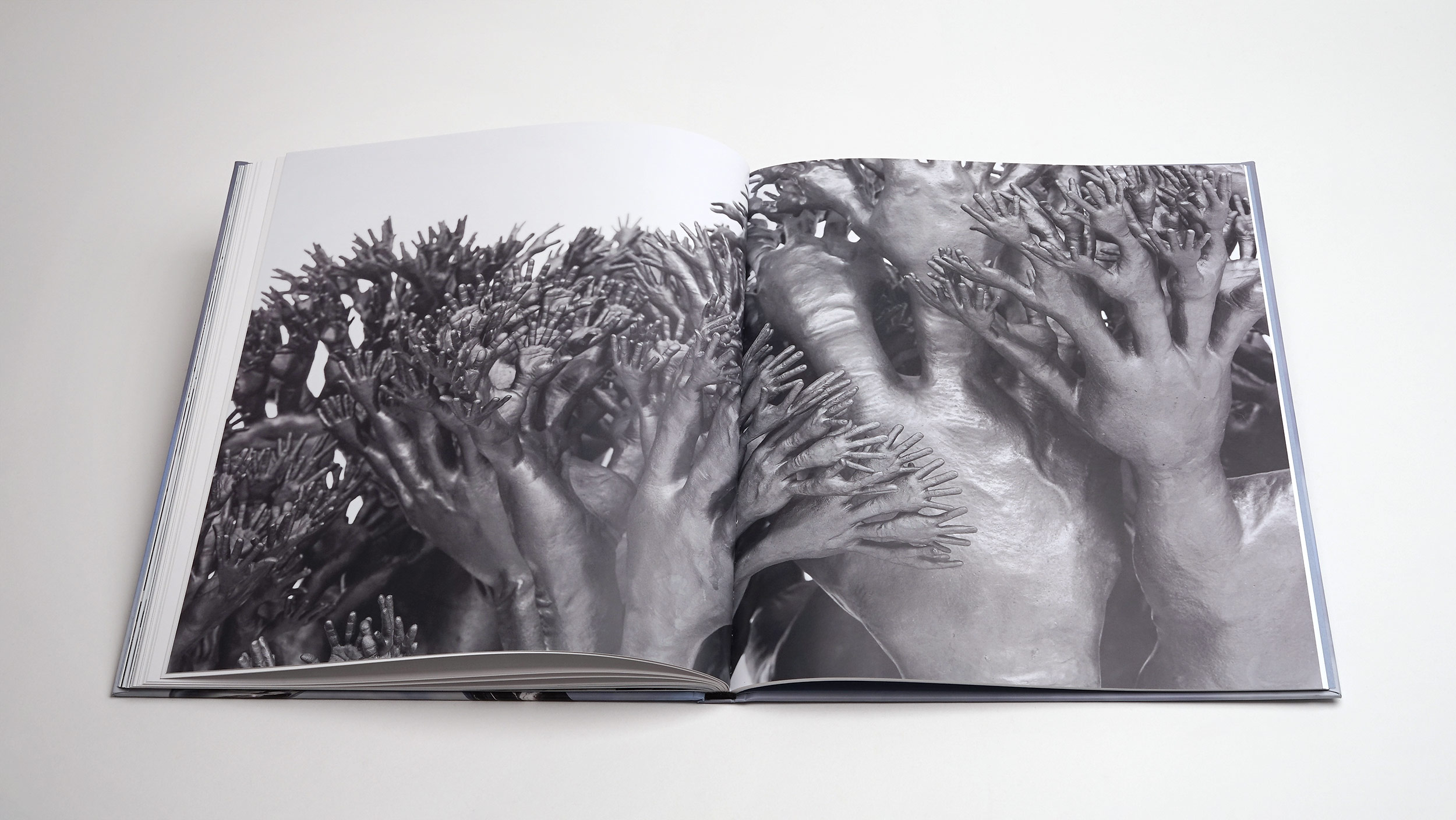 Tony Cragg -<br> Points of View – Bild 8