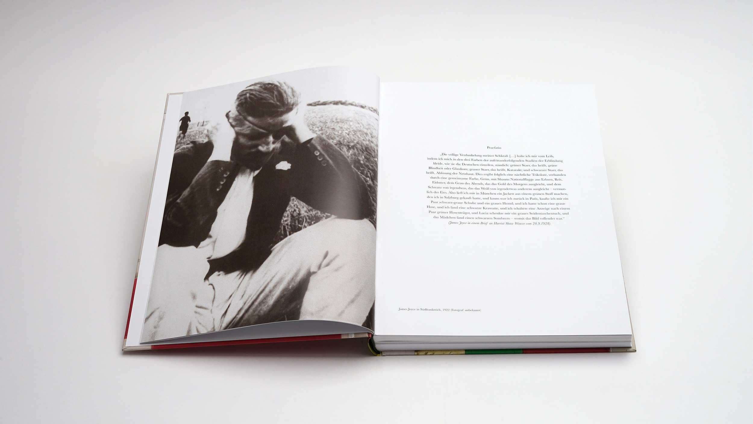 Werner Schmidt -<br> James Joyce und die Farben des Ulysses – Bild 4