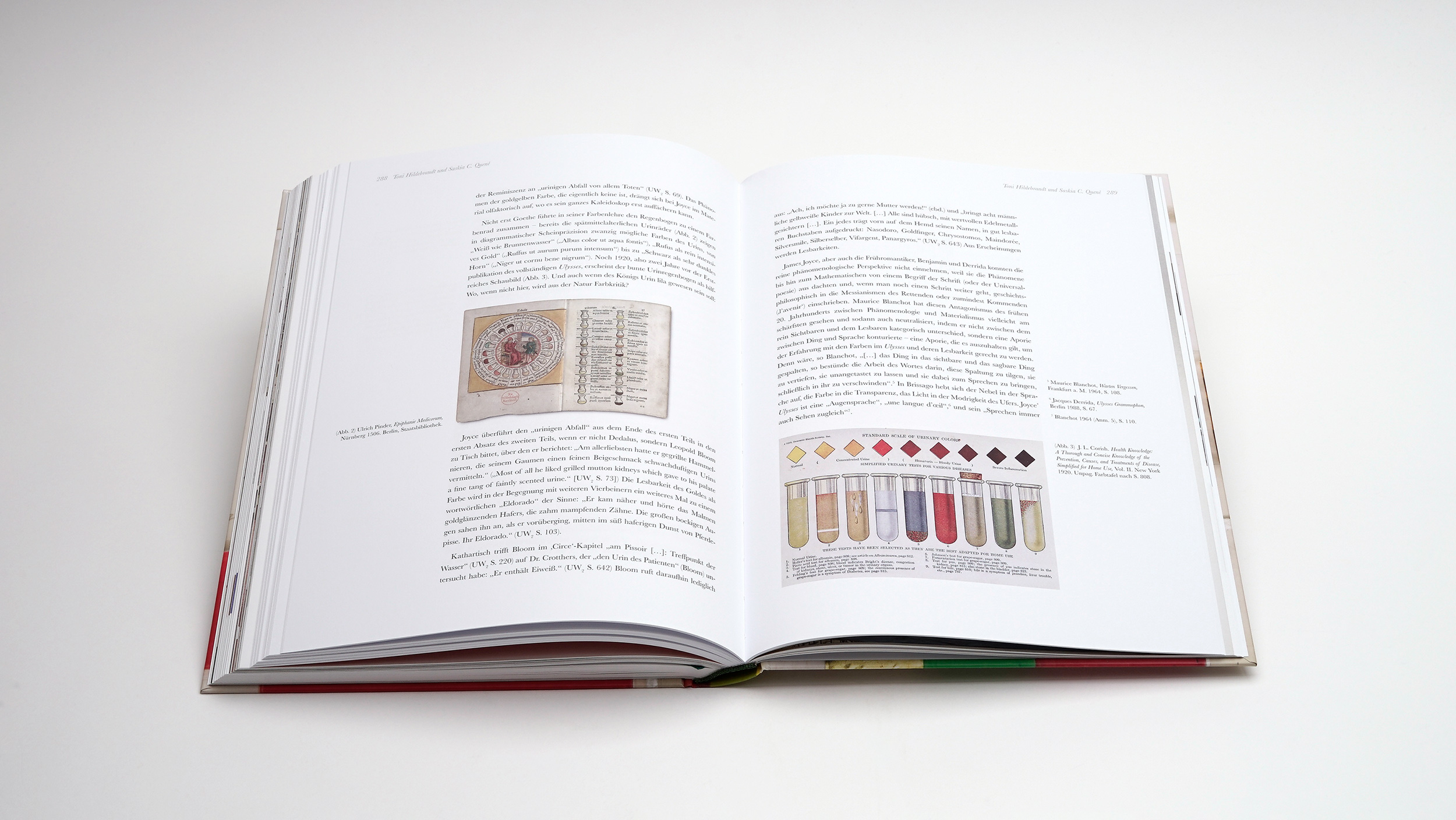 Werner Schmidt -<br> James Joyce und die Farben des Ulysses – Bild 9