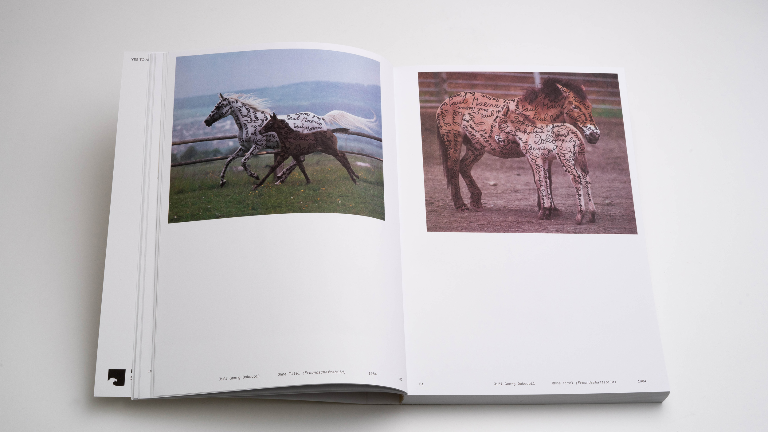 Yes To All -<br> Die Schenkung Paul Maenz Gerd de Vries – Bild 4