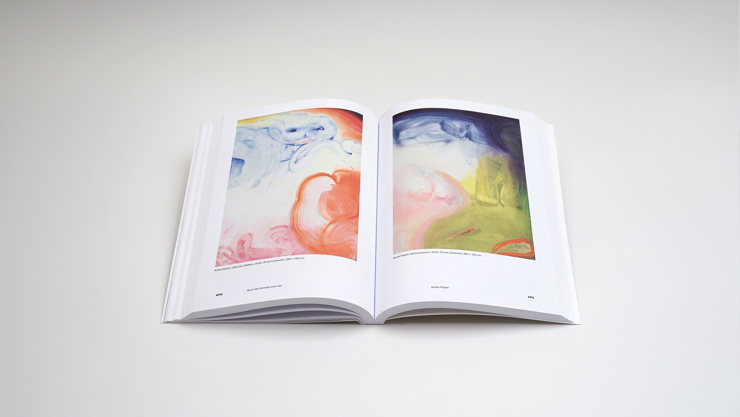 Larissa Kikol -<br> Neue abstrakte Malerei - Image 6
