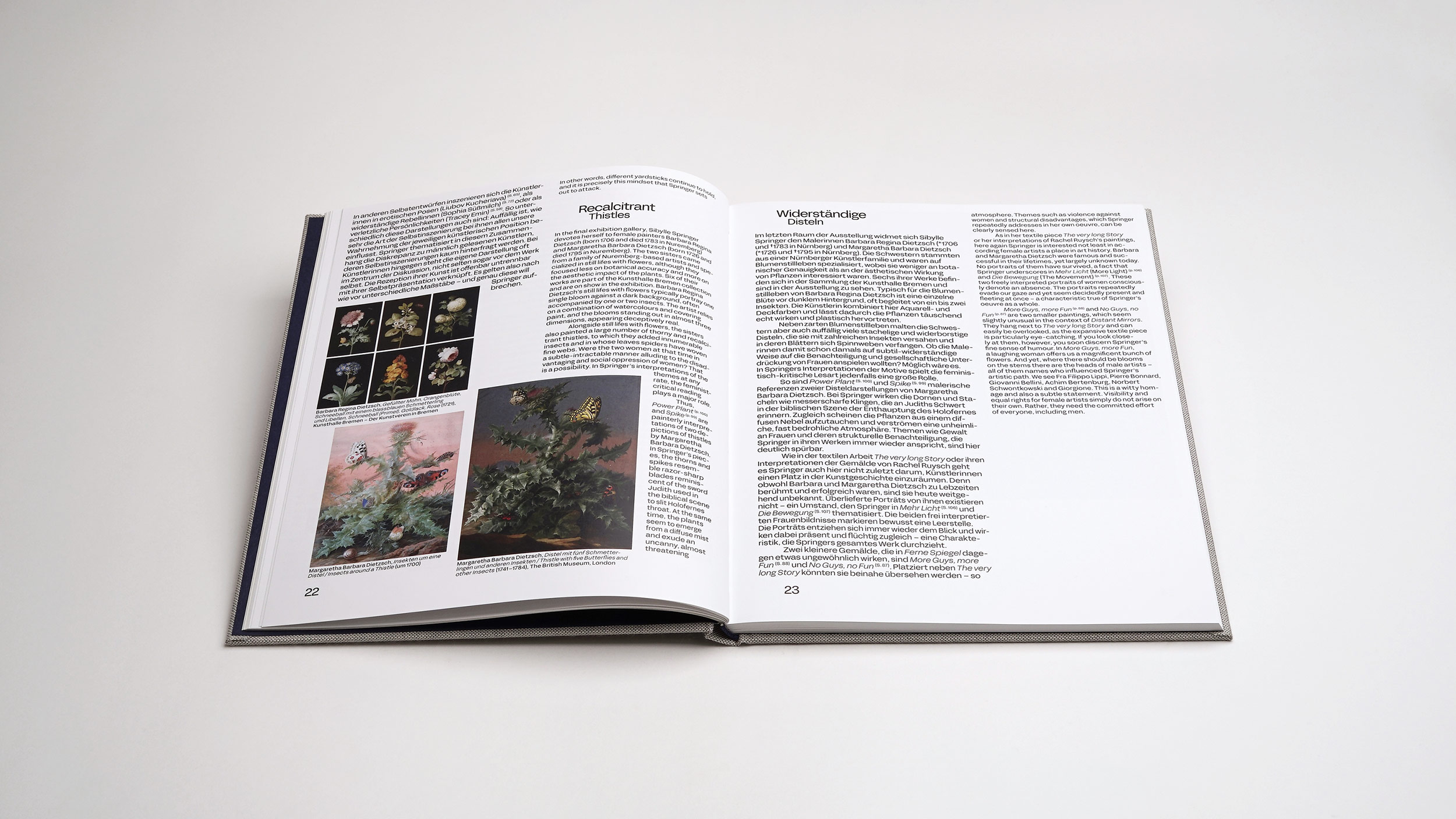 Sibylle Springer -<br> Ferne Spiegel / Distant Mirrors – Bild 5