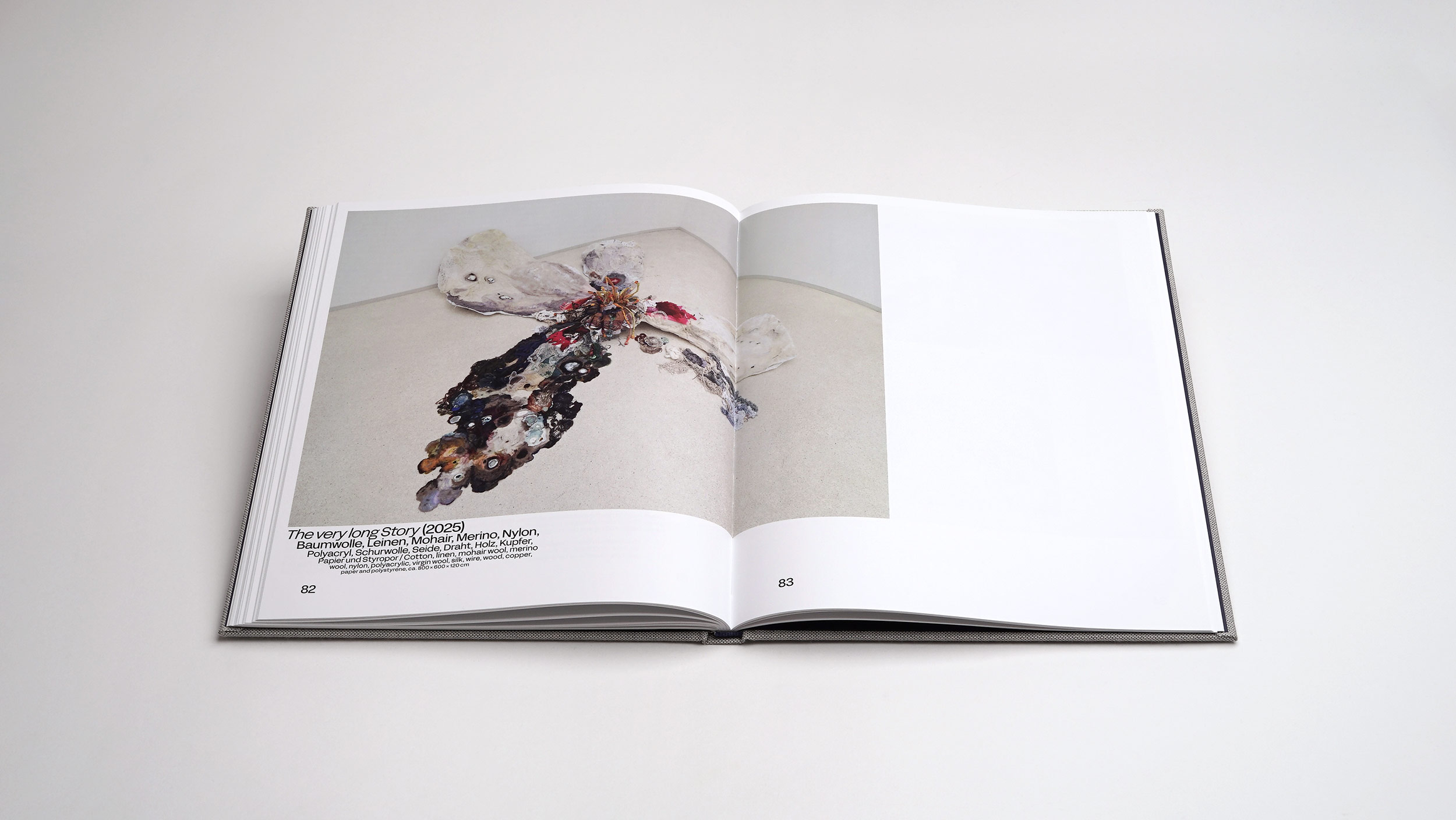 Sibylle Springer -<br> Ferne Spiegel / Distant Mirrors – Bild 6