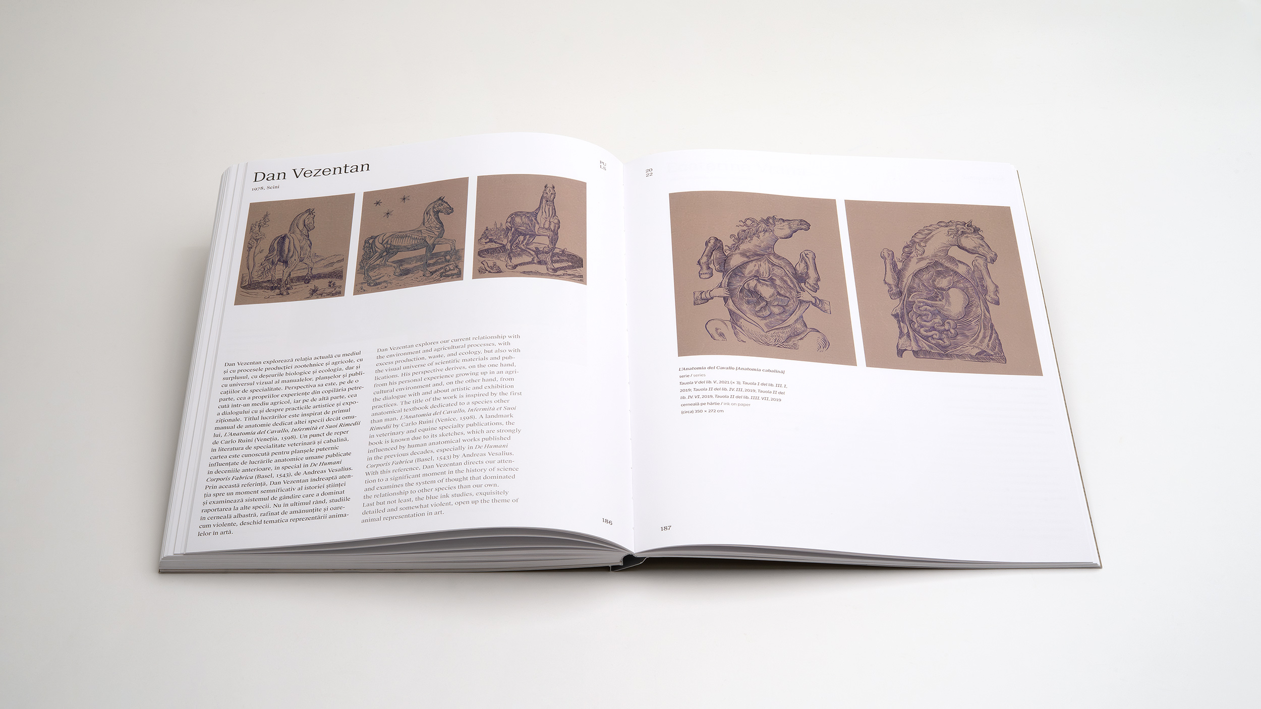 PULS 22 -<br> – Bild 9