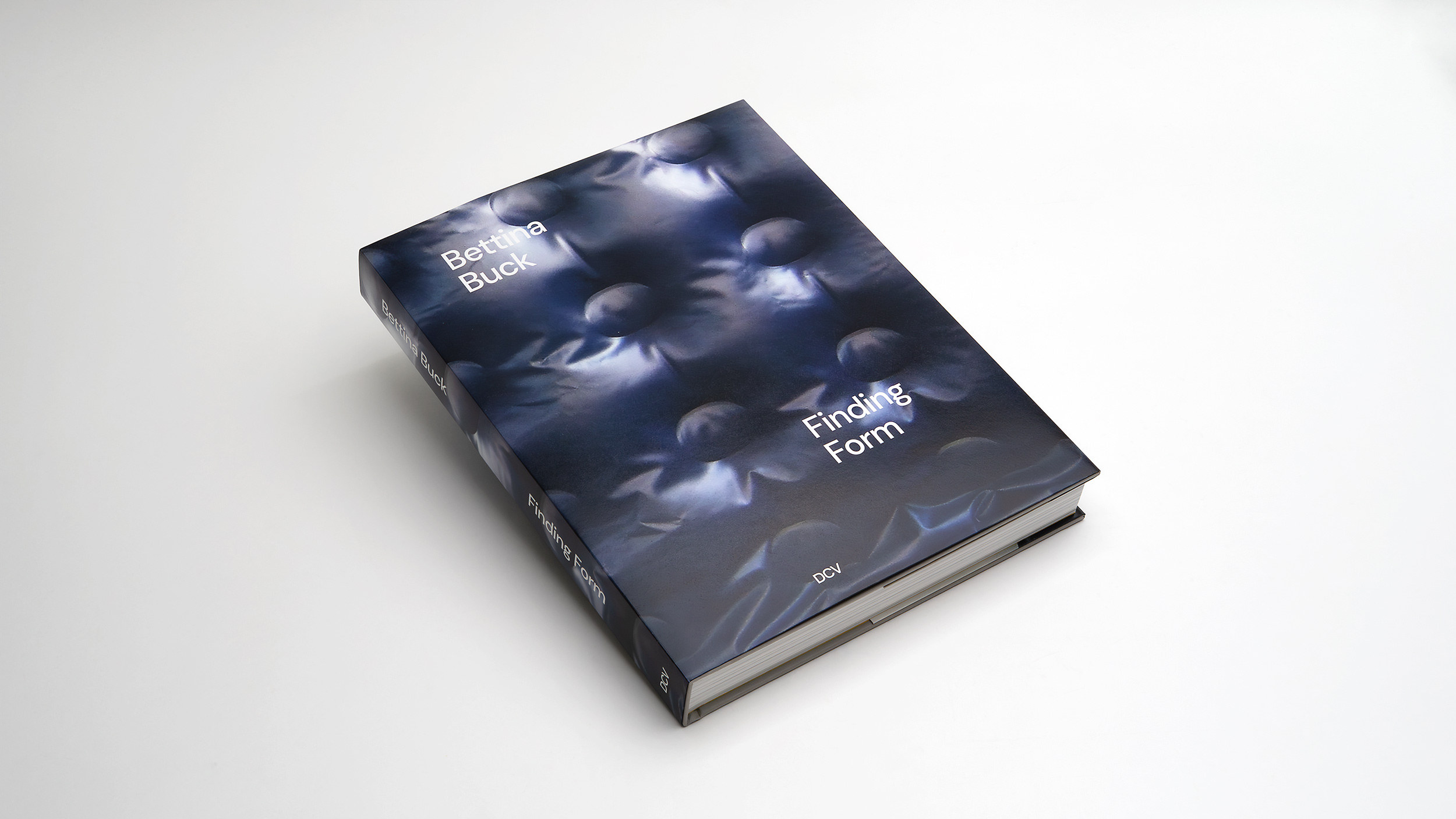 Bettina Buck -<br> Finding Form - Image 2