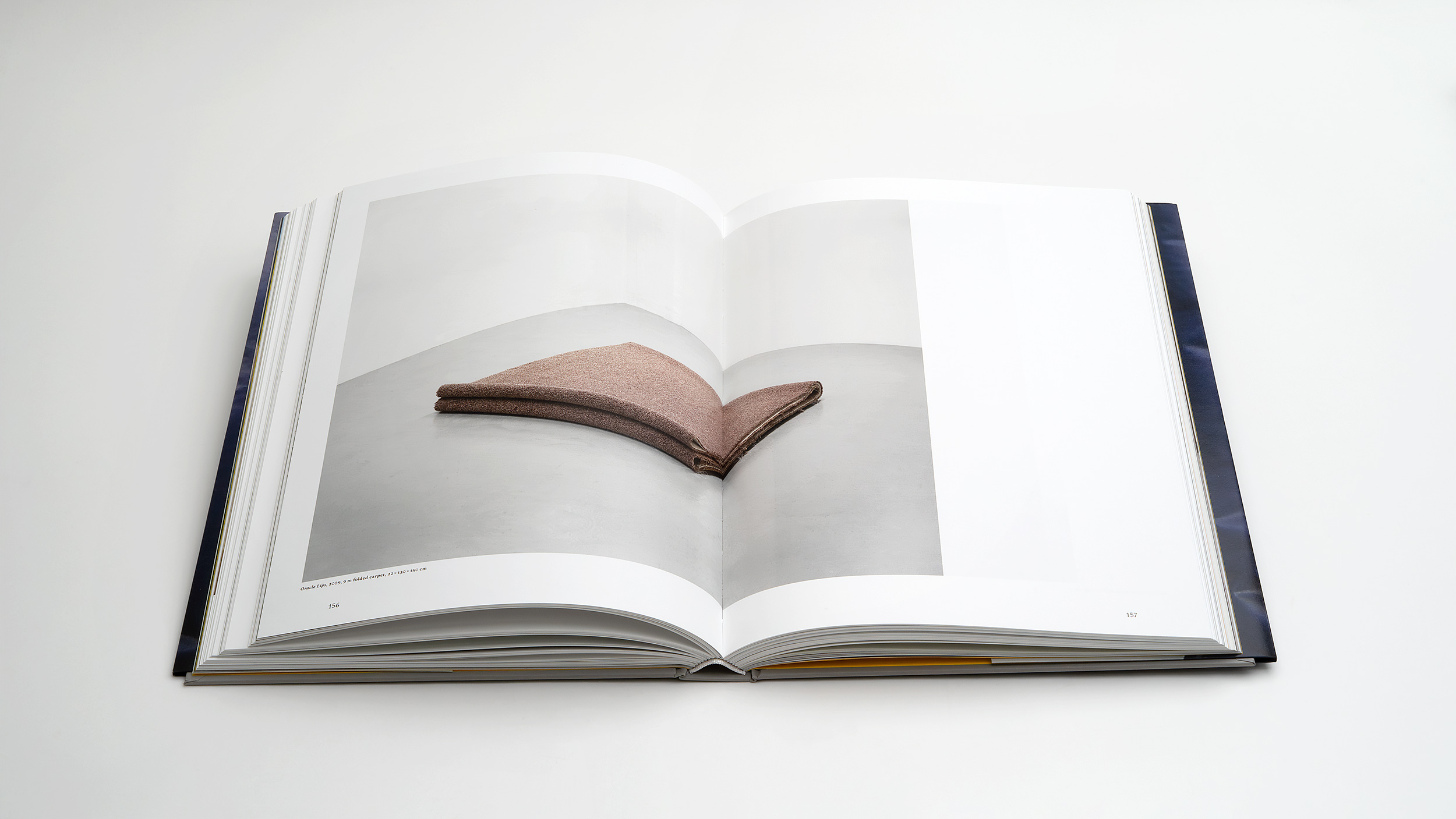 Bettina Buck -<br> Finding Form - Image 6