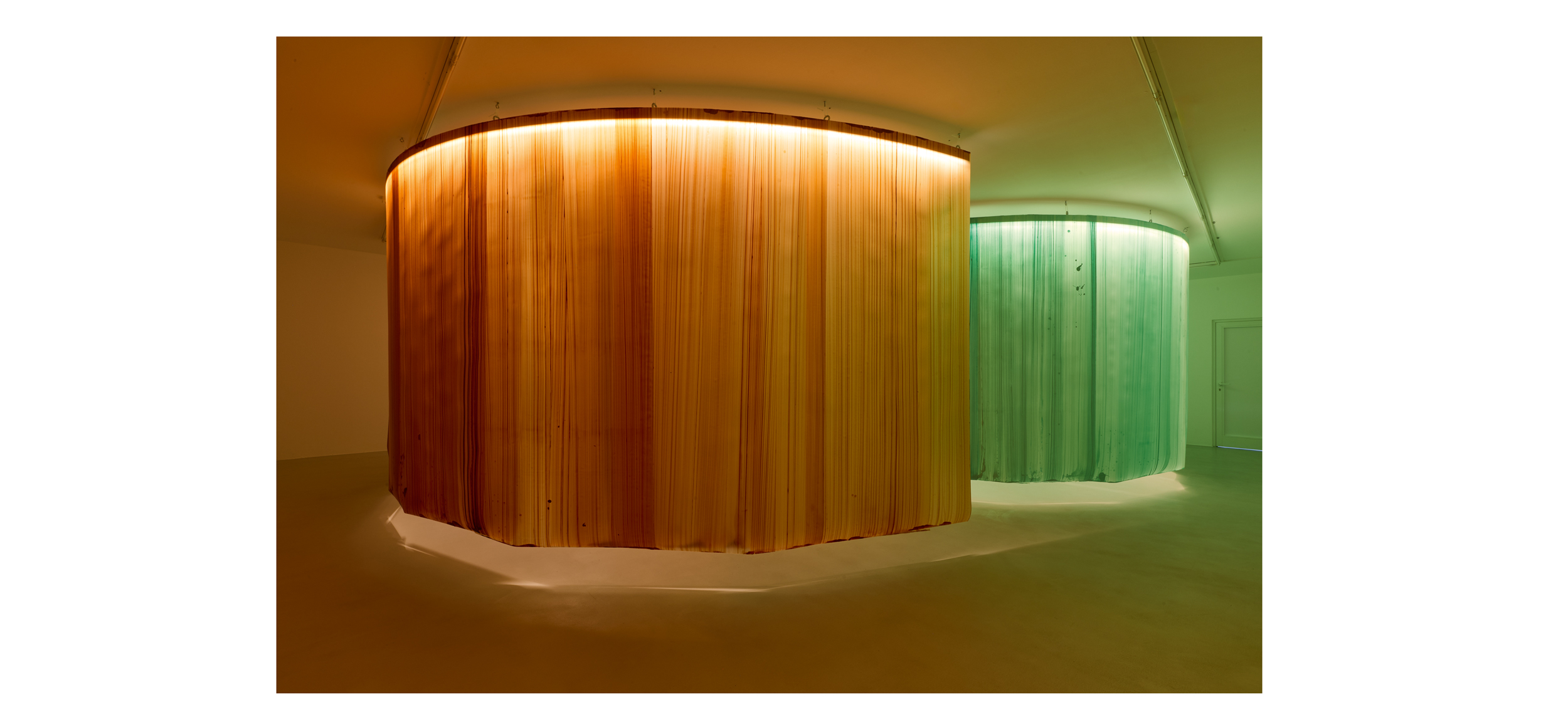 Ruth Campau -<br> Colour on Brush in Space – Bild 6