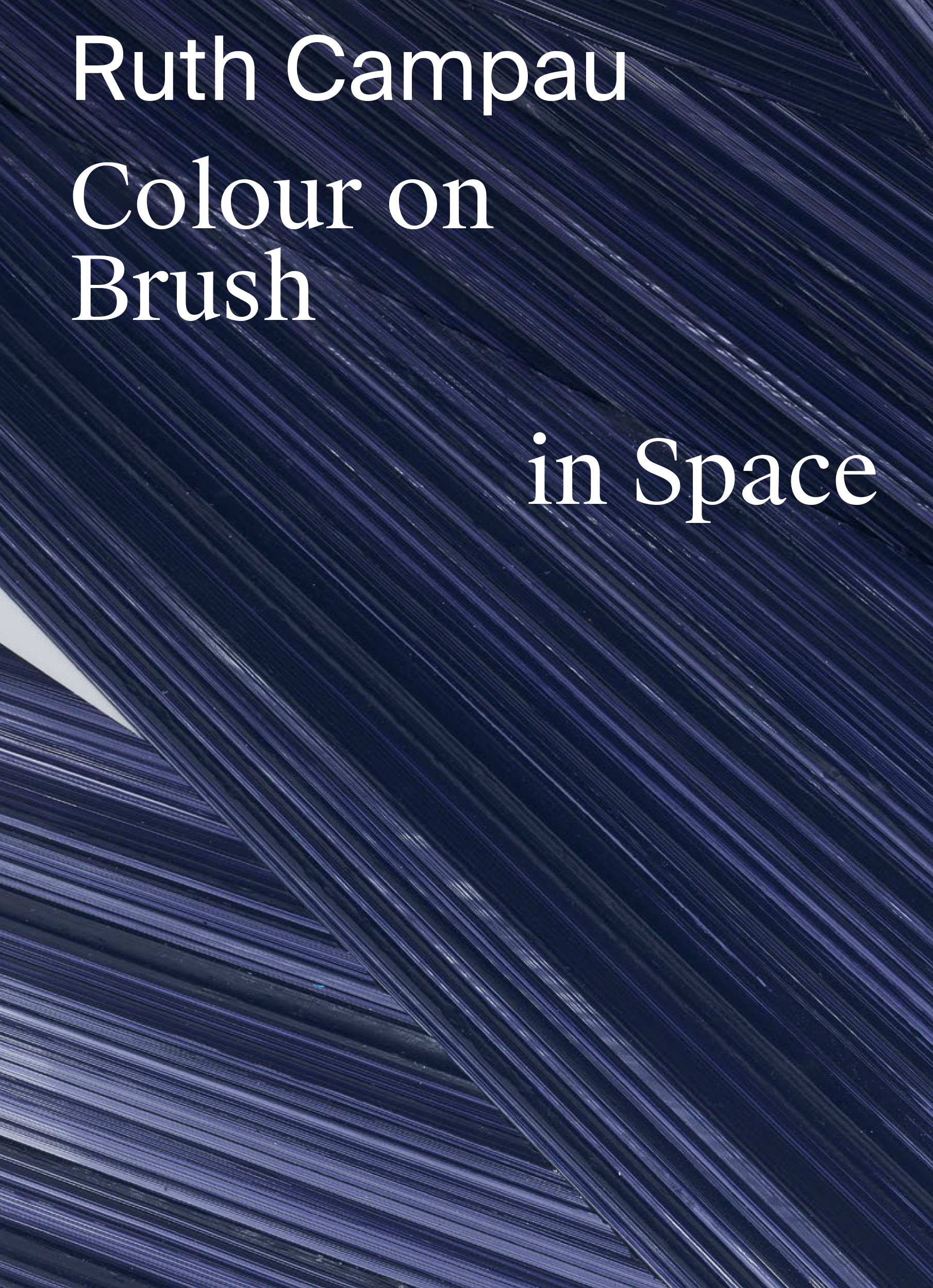 Ruth Campau -<br> Colour on Brush in Space